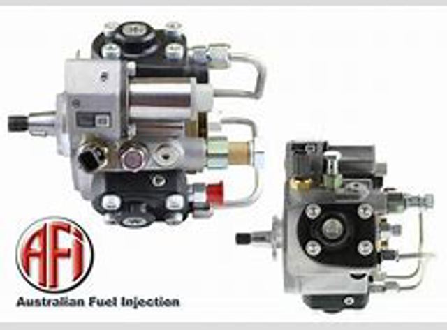 Grelha do radiador FPS FP6036994