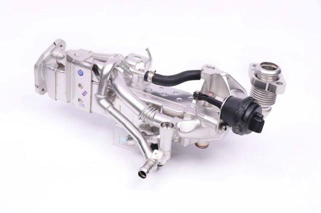 11718596445 BMW 