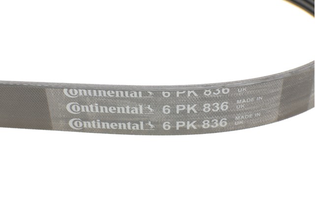 Compre 6PK836 Continental/Siemens Correia dos conjuntos de transmissão
