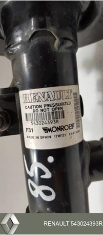 Compre 543024393R Renault (RVI) Amortecedor dianteiro