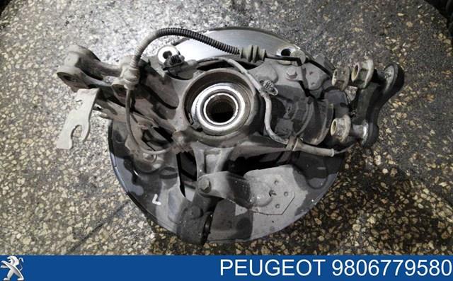 9806779580 Peugeot/Citroen Proteção do freio de disco dianteiro esquerdo