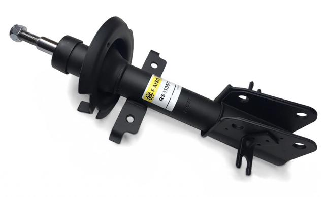 RS313577 Raiso Amortecedor dianteiro