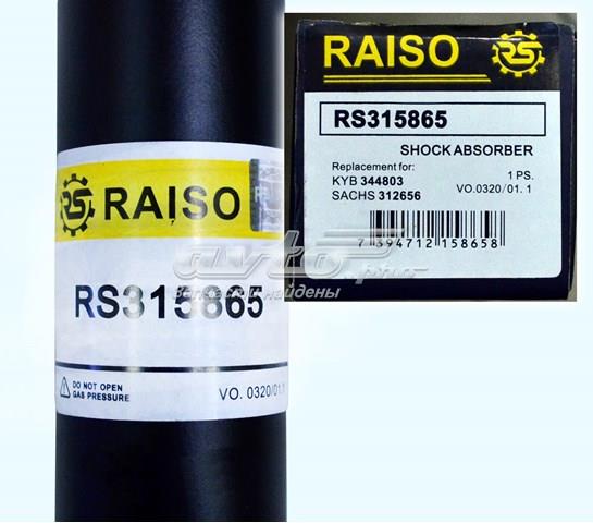 RS315865 Raiso Amortecedor traseiro