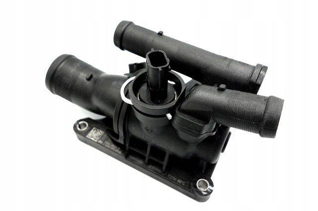 Termostato 110606973R Renault (RVI)