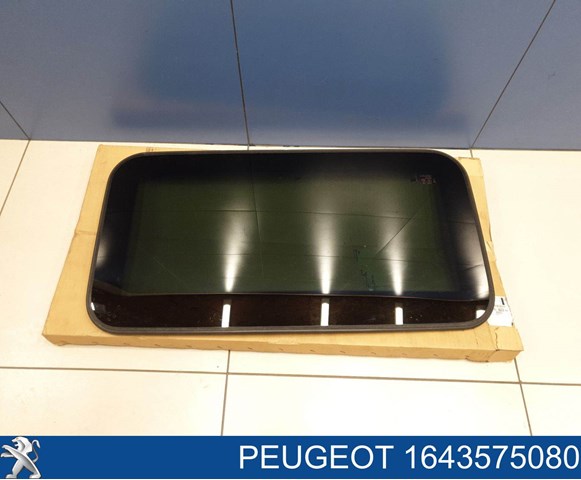 1643575080 Peugeot/Citroen 