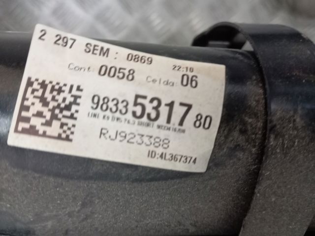 Compre 9822650280 Peugeot/Citroen Viga de suspensão traseira (plataforma veicular)
