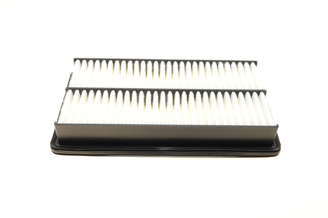 Filtro de ar WH2029 Wunder