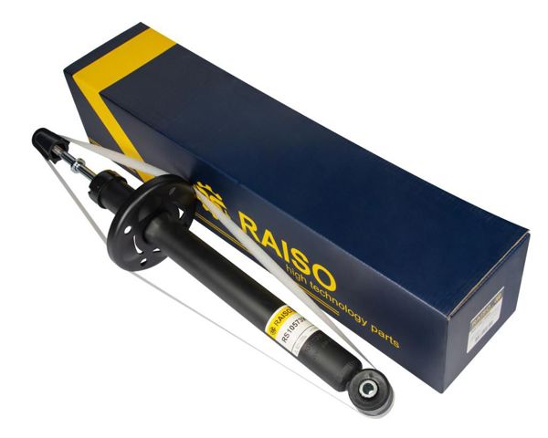 RS105739G Raiso Amortecedor traseiro