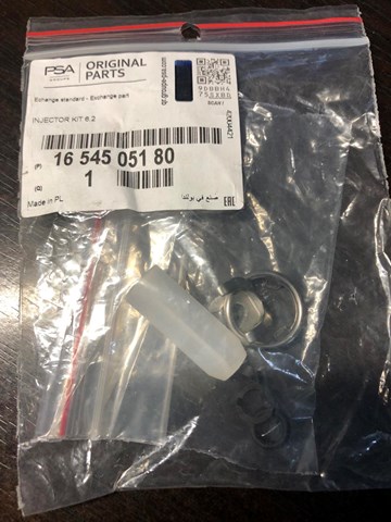 1654505180 Peugeot/Citroen Kit de reparação do injetor