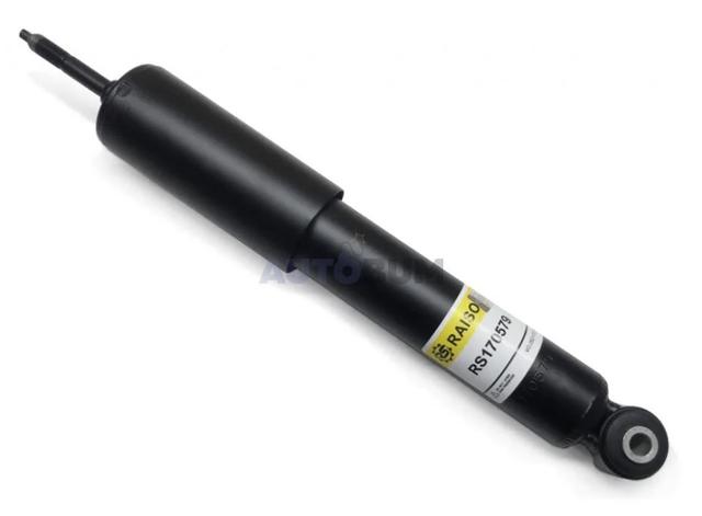 RS170579 Raiso Amortecedor dianteiro