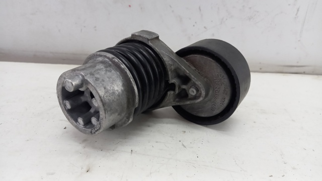 Reguladora de tensão da correia de transmissão 117506193R Renault (RVI)