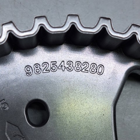 Engrenagem de cadeia da roda dentada da árvore distribuidora de motor 9802042380 Peugeot/Citroen