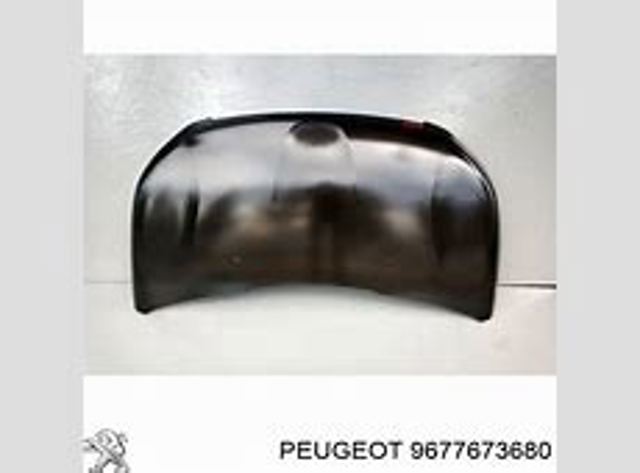 Guarda-barras esquerdo do pára-lama dianteiro Peugeot/Citroen 9677639180