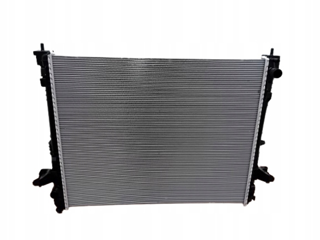 Radiador de esfriamento de motor Renault (RVI) 214106338R