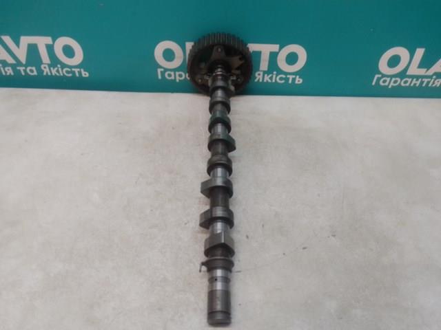 Compre 8200089894 Renault (RVI) Árvore distribuidora de motor