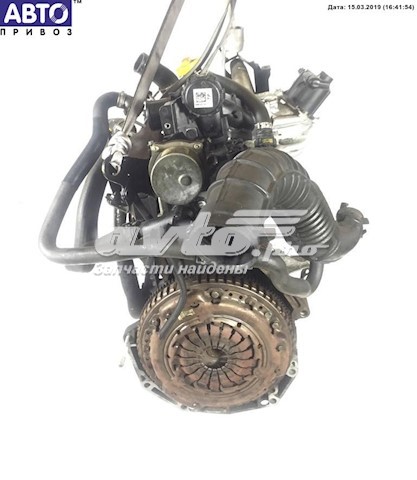 Motor montado K9K800 Renault (RVI)
