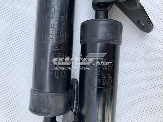6891049065 Toyota Amortecedor de tampa de porta-malas (de 3ª/5ª porta traseira)
