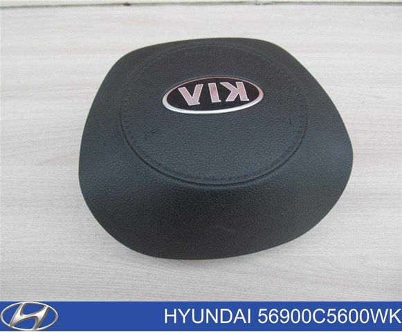  Hyundai/Kia 56900C5600WK