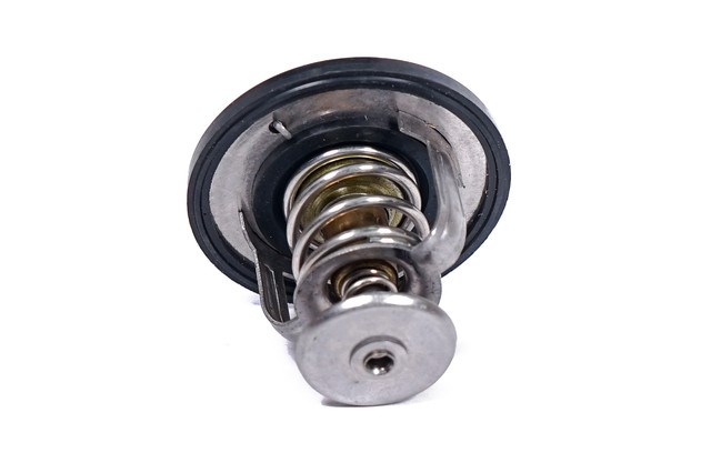 Compre 471Q1306950 BYD Termostato