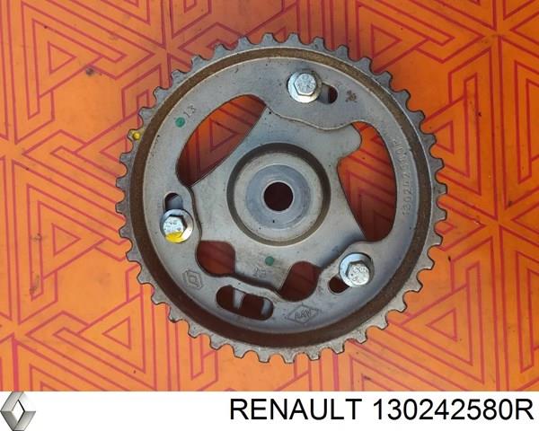 Engrenagem de cadeia da roda dentada da árvore distribuidora de motor 130242580R Renault (RVI)