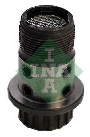  INA 427007310