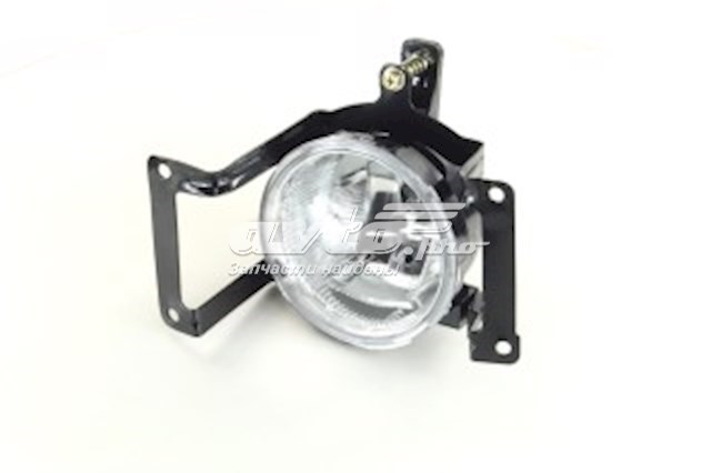 Compre 0270259H2C Tempest Luzes de nevoeiro direitas