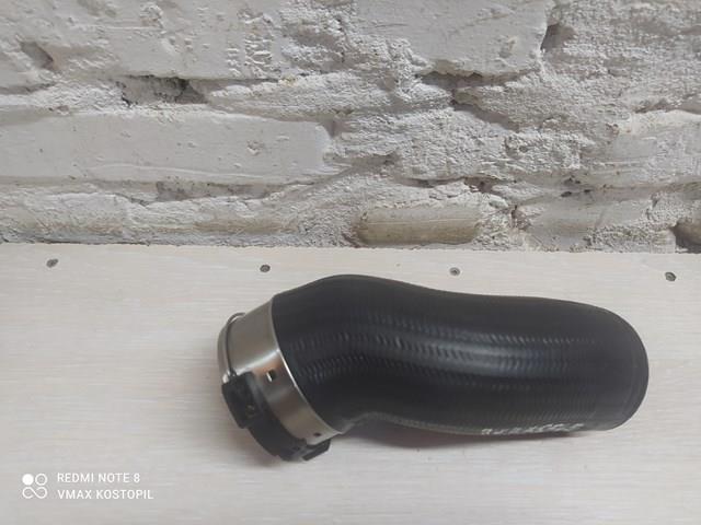 Mangueira (cano derivado) de intercooler 31338545 Volvo