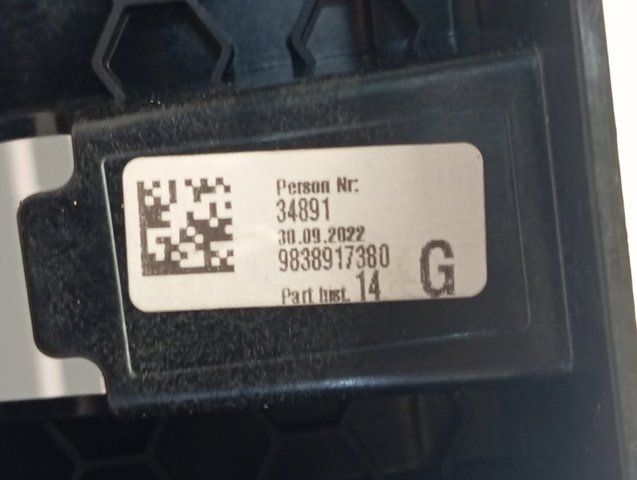 Mostrador multifuncional Peugeot/Citroen 9840051480