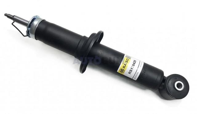 Compre RS170428 Raiso Amortecedor traseiro