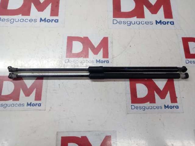 Amortecedor de tampa de porta-malas (de 3ª/5ª porta traseira) 904506697R Renault (RVI)