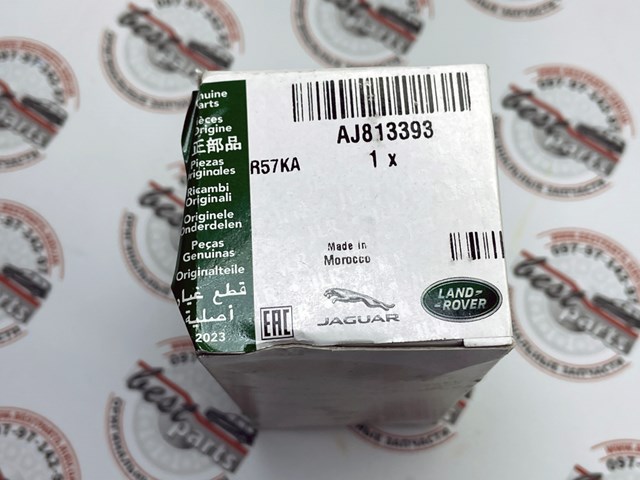 Válvula do injetor AJ813393 Jaguar
