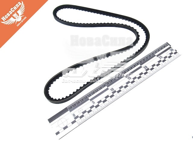 Compre 10A1250C Dayco Correia dos conjuntos de transmissão