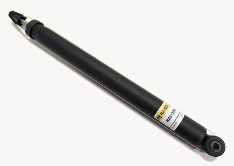 RS313291 Raiso Amortecedor traseiro
