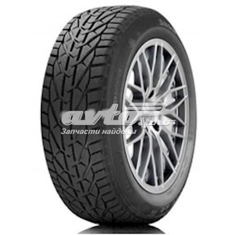 Pneus de inverno 17636 Nexen