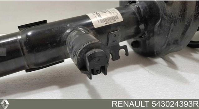 Amortecedor dianteiro 543024393R Renault (RVI)