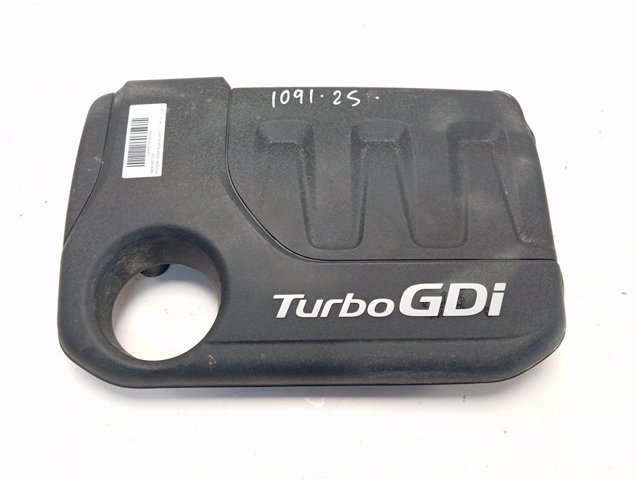 Compre 2924204500 Hyundai/Kia Tampa de motor decorativa
