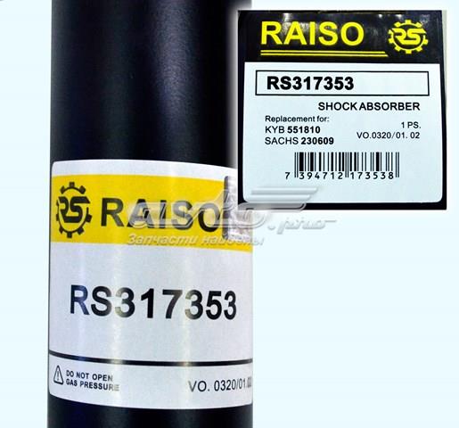Amortecedor traseiro RS317353 Raiso