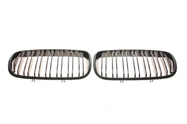 Grelha do radiador BMW X5 SUV (E70) (2007 - 2013) 