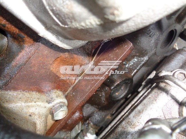 Motor montado 2LT Toyota