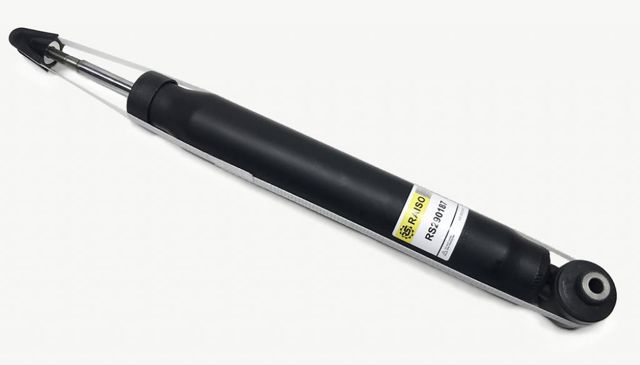 RS290187 Raiso Amortecedor traseiro