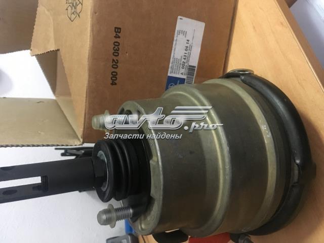 Cilindro traseiro do freio de rodas de trabalho 4110018 WST