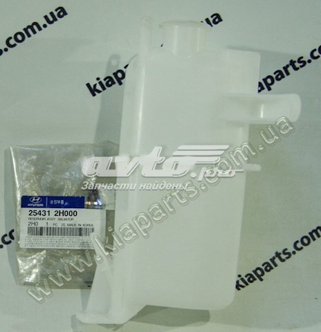 Tanque de expansão do sistema de esfriamento 254312H000 Hyundai/Kia