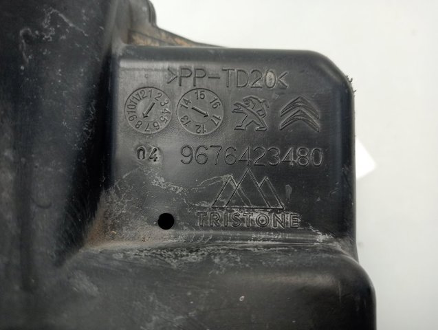 Compre 9676423480 Peugeot/Citroen Caixa de filtro de ar