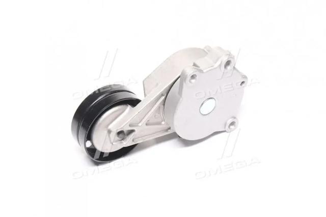 Reguladora de tensão da correia de transmissão RDA118111200AB Rider