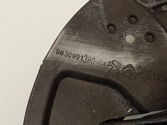 9830991380 Peugeot/Citroen Proteção do freio de disco dianteiro esquerdo