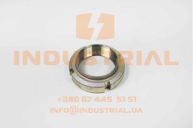 Compre 5801564345 Iveco Porca de cubo dianteiro