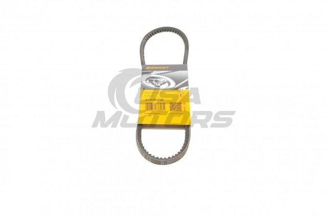  Continental/Siemens AVX10X730