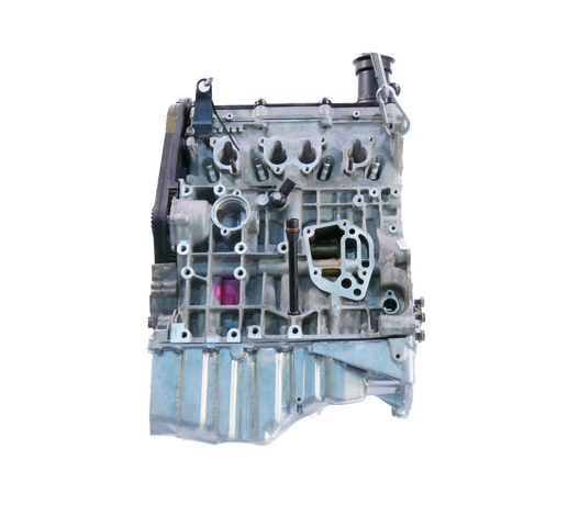 ALZ VAG Motor montado