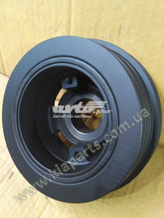 231244Z001 Hyundai/Kia Polia de cambota