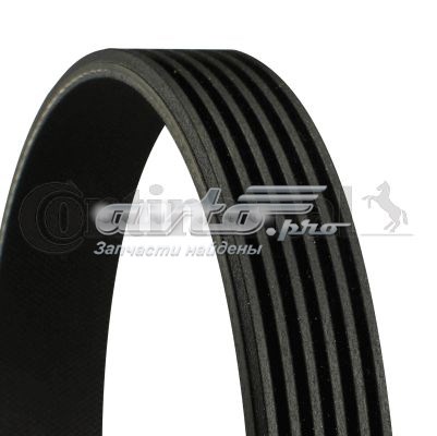 Compre 6PK869 Continental/Siemens Correia dos conjuntos de transmissão